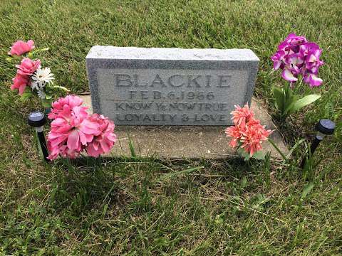 Blackie Dog Grave